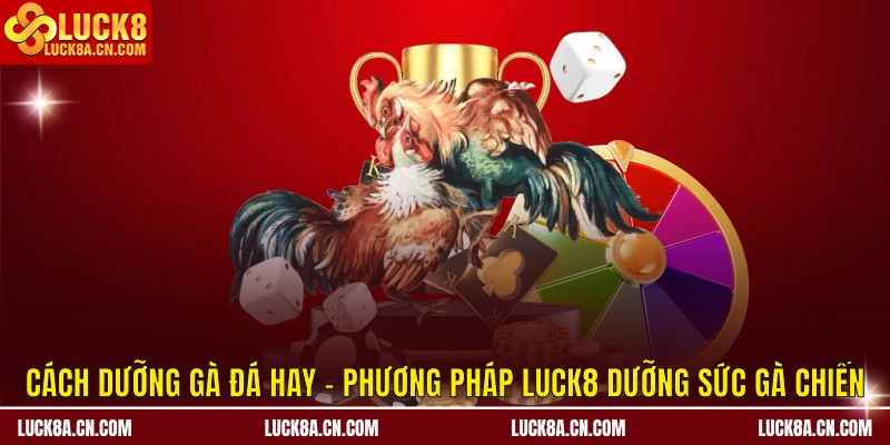 Cách Dưỡng Gà Đá Hay - Phương Pháp Dưỡng Sức Gà Chiến 1 Cách dưỡng gà đá hay